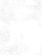 Essentials - Dry Brush - White on White - Stitch - Durango, Colorado Quilt & Sewing Shop