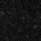 WF Pen & Petal Daydream Black Wideback - Stitch - Durango, Colorado Quilt & Sewing Shop