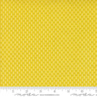 Raspberry Summer Summer Yellow/Green - Stitch - Durango, Colorado Quilt & Sewing Shop