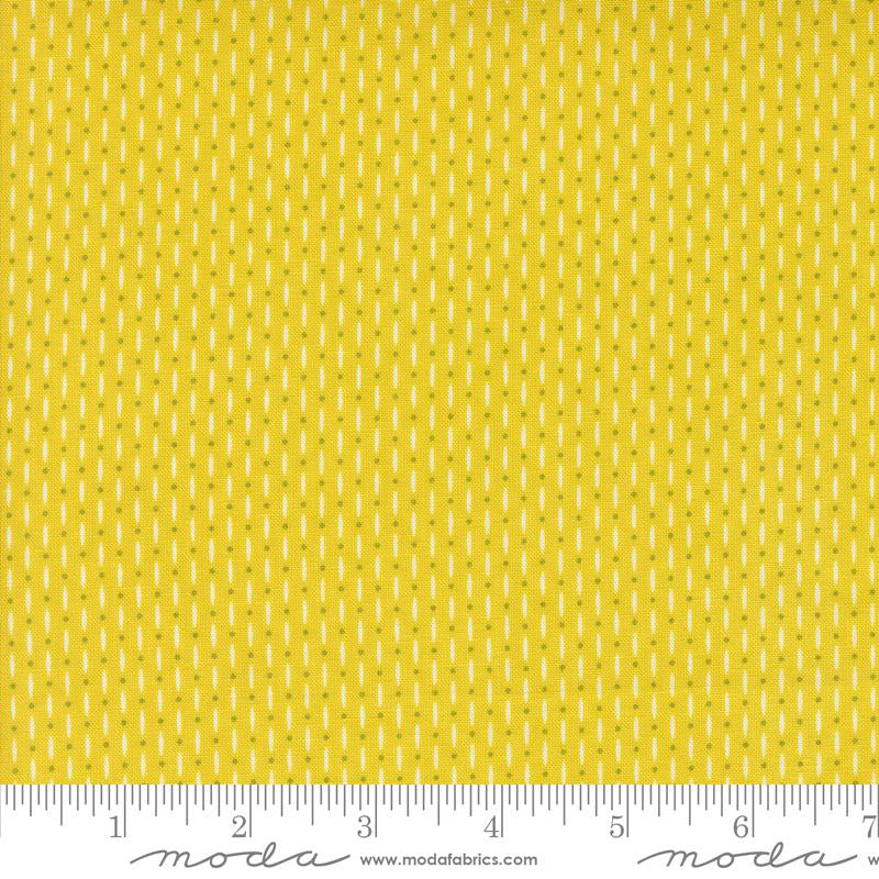 Raspberry Summer Summer Yellow/Green - Stitch - Durango, Colorado Quilt & Sewing Shop