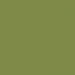 QT ColorPlay Canvas Organic WB Olive - Stitch - Durango, Colorado Quilt & Sewing Shop
