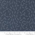 Moda The Henhouse Denim - Stitch - Durango, Colorado Quilt & Sewing Shop