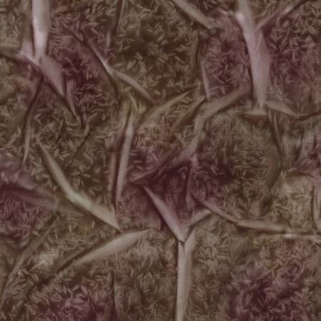 RB Express Yourself! Jasmine Walnut - Stitch - Durango, Colorado Quilt & Sewing Shop