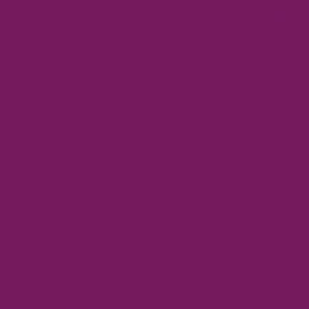 RB Confetti Cotton Boysenberry - Stitch - Durango, Colorado Quilt & Sewing Shop