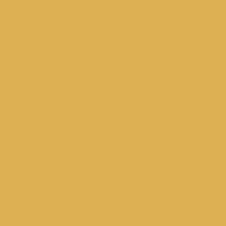 RB Confetti Cotton Golden - Stitch - Durango, Colorado Quilt & Sewing Shop