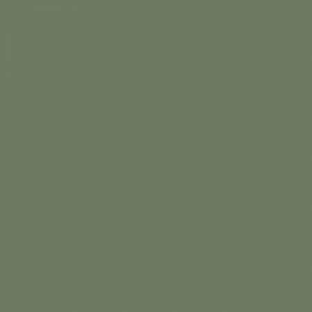RB Confetti Cotton Rosemary - Stitch - Durango, Colorado Quilt & Sewing Shop