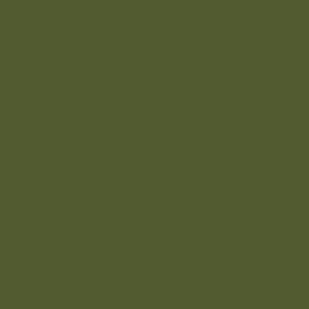 RB Confetti Cotton Zucchini - Stitch - Durango, Colorado Quilt & Sewing Shop