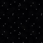 RB Dainty Daisy Licorice - Stitch - Durango, Colorado Quilt & Sewing Shop