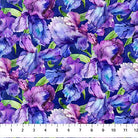 Northcott Infatuation Iris Dk Purple - Stitch - Durango, Colorado Quilt & Sewing Shop