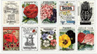 RB Sewing Seeds III 24in x 43in Seed Catalog Patch Panel - Stitch - Durango, Colorado Quilt & Sewing Shop