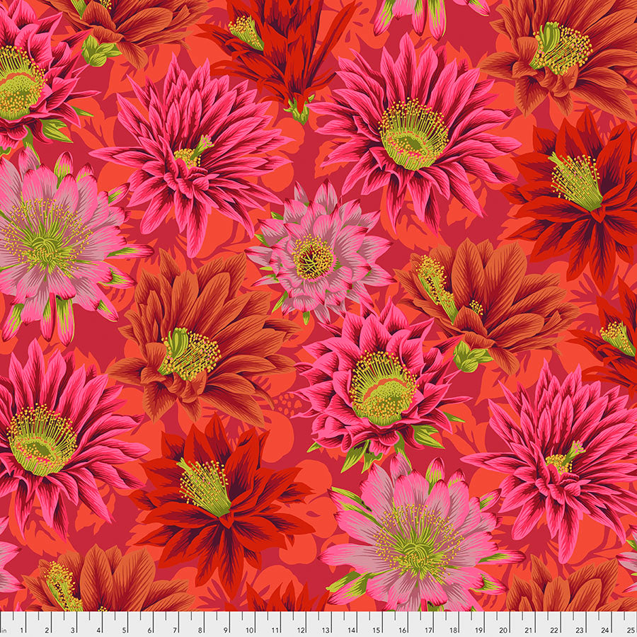 FS Kaffe Cactus Flower - Red - Stitch - Durango, Colorado Quilt & Sewing Shop