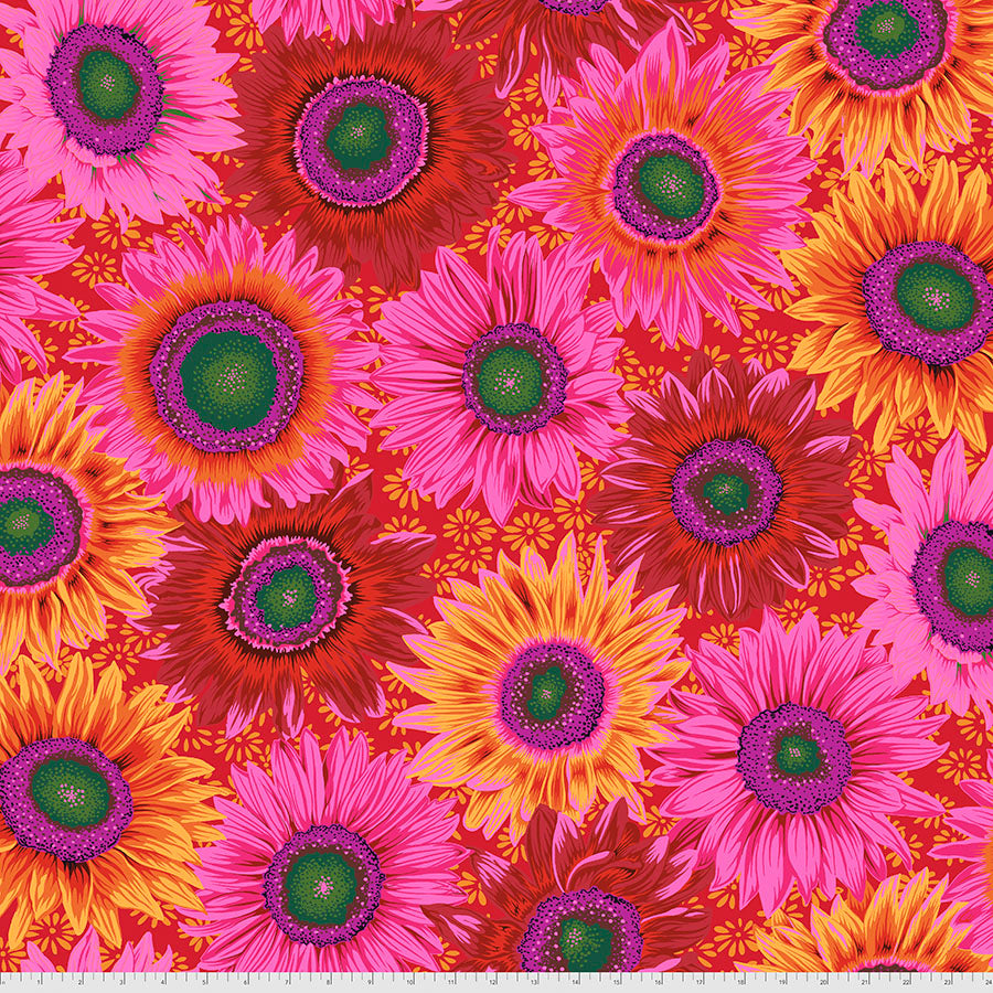 FS Kaffe Van Gogh Red - Stitch - Durango, Colorado Quilt & Sewing Shop