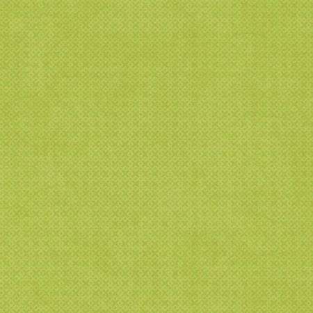 WP Green Criss Cross Texture - Stitch - Durango, Colorado Quilt & Sewing Shop